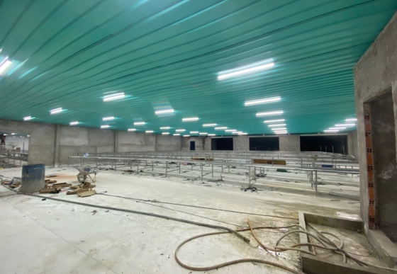 Làm la-phông nhà máy thủy sản